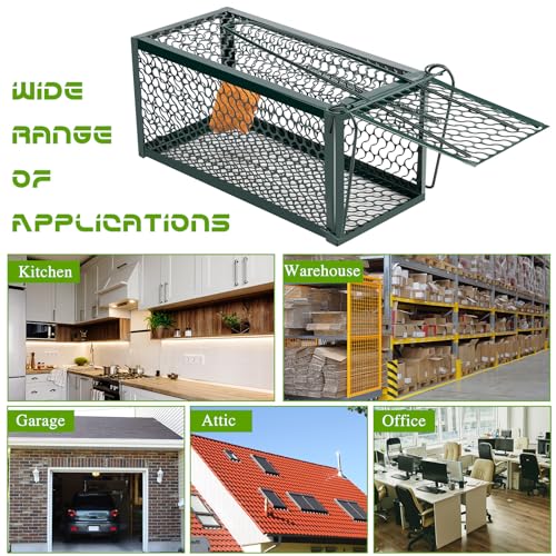 Qualirey 2 Pcs Humane Rat Trap Chipmunk Rodent Mouse Squirrel Trap,Green | 9.1 x 4.5 x 4.5 Inches Mouse Voles Hamsters Cage Rat Cage for Mice Easy to Catch and Release - color: Green
