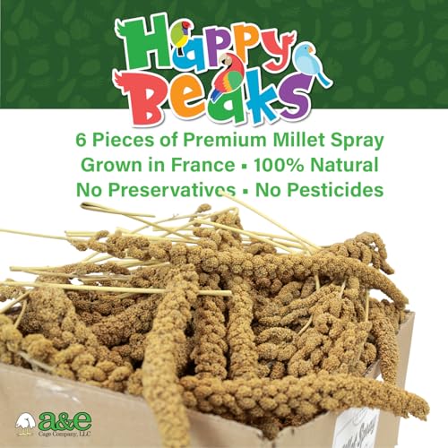 A&E Cage Co Premium French Millet Spray Bird Treat, 6 Piece 3 oz Pack | Grown in France, Natural Spray Millet, Encourages Foraging, For Parakeets, Cockatiels, Finches & Canaries - size: 3 Ounce