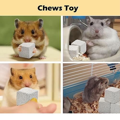 PINVNBY 20 Pcs Lava Blocks for Rabbits,Chinchillas Lava Block Hamster Mineral Stone Small Animals Square Calcium Stones Teeth Pumice Grinding Chews Toy for Bunny Hamsters Chinchilla Guinea Pig - size: 【20 PCS】