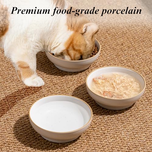Cat Bowl, Ceramic Small Pet Bowl Pack of 3, Dishwash Safe Pet Food and Water Bowl Dishes for Small Dog, Fat Faced Cat, Kitten, Rabbits Puppy Birds(Safe Food-Grade Ceramic), White - color: White