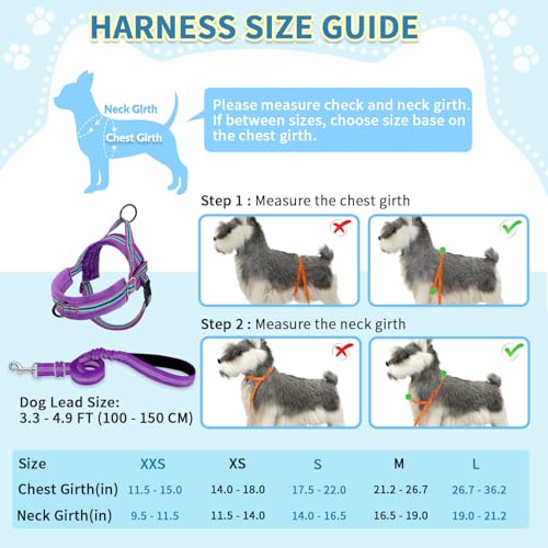 SlowTon No Pull Small Dog Harness and Leash Set with Front Clip | Soft Padded, Neck & Chest Adjustable, Lightweight, Anti-Twist, Puppy Vest Harness Pet Lead Combo for Small Medium Dog, PU XS - color: Purple, size: X-Small