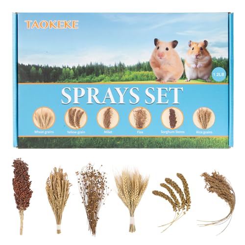 Hamster Spray Set - Natural Snack Grains & Chew Toys for Cage Decoration Accessories, Soft Bedding for Dwarf Syrian Hamsters, Gerbils, Mice & Small Pets - size: 6 Kinds of Grains