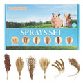 Hamster Spray Set - Natural Snack Grains & Chew Toys for Cage Decoration Accessories, Soft Bedding for Dwarf Syrian Hamsters, Gerbils, Mice & Small Pets - size: 6 Kinds of Grains