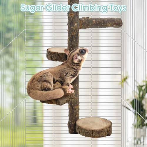 BNOSDM Sugar Glider Toy Natural Fruitwood Round Perch Stand Squirrel Hanging Wooden Climbing Pole Hamster Paw Grinding Perch Small Animal Cage Accessories for Chinchillas Rats Gerbil - color: Applewood - Climbing Platform
