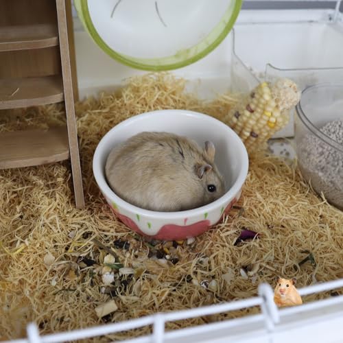 3.4oz Small Animal Food Bowl, Heavy Anti-Tipping Ceramic Pet Bowls with Strawberry Pattern, Hamster Water Bowl for Gerbils/Guinea Pigs/Reptile/Bird, Easy to Clean Hamster Bowl (Red, A) - color: Red