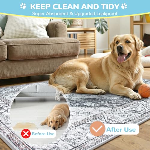 Lahome Super Absorbent & Leakproof Washable Dog Pee Pads - 2 Pack Value Set - Waterproof, Non-Slip Reusable Pads for Puppy Training, Crates & Whelping (24"x24", Gray) - color: Gray, size: 2FT x 2FT (Pack of 2)