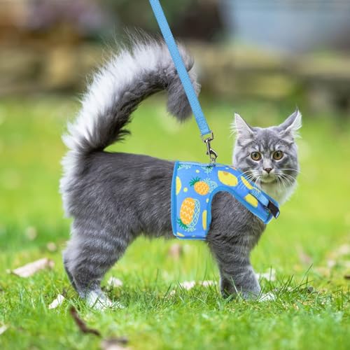 PUPTECK Soft Mesh Cat Vest Harness and Leash Set Puppy Padded Pet Harnesses Escape Proof for Cats Small Dogs Rabbits Bunny - color: Blue(Pineapple), size: M(NECK 7", CHEST 10.5", 4-6 lbs)