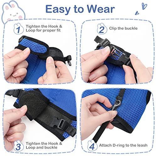 PETTOM Bunny Rabbit Harness with Stretchy Leash Cute Adjustable Buckle Breathable Mesh Vest for Kitten Small Pets Walking (Blue,XL) - color: Blue, size: XL(Chest:12.5-15.7 in)