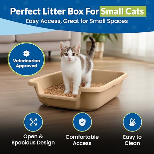 KittyGohere Senior Cat Litter Box Small with Scoop, Beach Sand | Open Top Low Entrance Kitty Litter Box With With Long-handle Jumbo Scoop, Lightweight & Durable Litters Box, Made in USA - color: Beach Sand, size: Small with Scoop