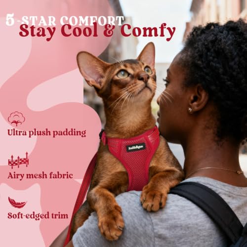 rabbitgoo Cat Harness and Leash, Easy-on with Neck Buckle, Red | Escape Proof, No Over-the-head, Soft Air Mesh, 3 Lockable Adjusters & Buckles, Reflective, for Small to Average Cats Walks, S - color: Red, size: S