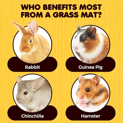 SunGrow Rabbit, Leopard Gecko & Guinea Pig Grass Chew Mat, Hay Bedding, Zip tie to Wire Cage Provide Insulation Cold Weather, Cover Ugly Wire on Cage, DIY Small Pet Runways, Huts