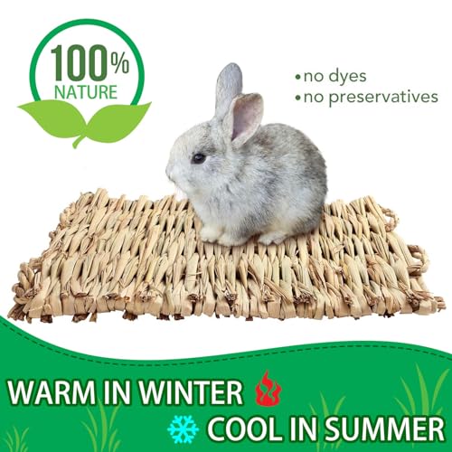 2 PCS Rabbit Grass Mats, Natural Straw Hay Woven Rabbit Bed Cage Mats Pet Handmade Bedding, Sleeping Chewing Nesting and Toys for Hamster Bunny Chinchilla Bird and Other Small Animal (2Pcs)