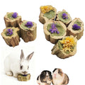 Natural Rabbit Chew Toys,Papaya Wood Sticks Organic Rabbit Treats with Timothy Hay Cakes and Dried Flower Rabbit Enrichment Toys for Guinea Pig Teeth Grinding (3.52 OZ / 100g)