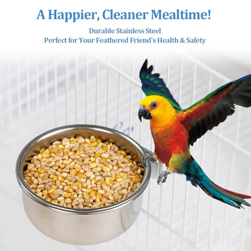 2 Pack Stainless Steel Bird Food Bowl Small Bird Feeding Dish Cups for Cage Parrot Food Bowl Cage with Clamp Holder for Parrots, Cockatiels, Small Animals (S+M) - size: S+M