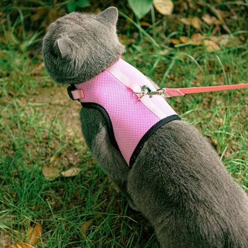 PUPTECK Soft Mesh Cat Vest Harness and Leash Set Puppy Padded Pet Harnesses Escape Proof for Cats Small Dogs, Pink Large - color: Pink, size: L(NECK 8.5"-10.5", CHEST 12.5"-15", 6-10 lbs)