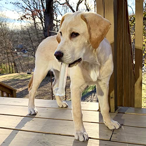 Sporn Marrow Milkies SM, White, Small - size: Small