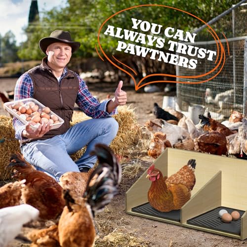 Pawtners 4-Pack Chicken Nesting Box Pads, Reusable Chicken Laying Pad, Gray | Washable Silicone Enduring Nesting Box Liners 12"x 12" Chicken Laying Pads for Laying Egg Poultry Nest Box Pads Easy to Clean - color: Grey - 04Pack