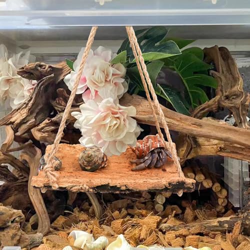 Oooct Hermit Crab Climbing Toy, Natural Wooden Reptile Swing Toy, Pet Cage Tank Aquarium Accessories for Hermit Crab Lizard Chameleon Hamster Guinea Pig Chinchilla Bird Parrot - size: Large-11.8 × 7.8 Inch