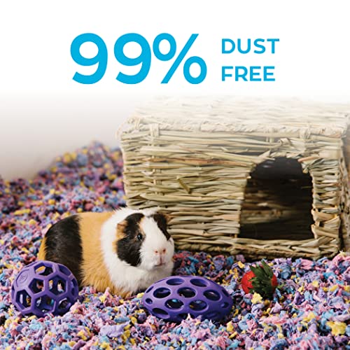 Carefresh Confetti Small Pet Bedding, 99% Dust-Free Natural Paper with Superior 10 Day Odor Control & Absorption for Guinea Pigs, Hamsters, 50L, (Pack May Vary) (L0410) | 2X more absorbent, 99% dust free, odor control, Biodegradable and compostable, For h
