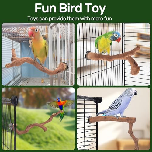 6-Piece Premium Bird Perch Stand with Natural Grape Wood Branch, Paw Grinding Fork, Chewing Stick, Cage Accessories for Parakeets, Budgies, Cockatiels, Finches, Lovebirds - size: 6Piece