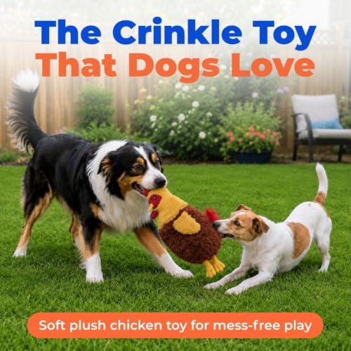 Best Pet Supplies Interactive Squeaky Dog Toy - Crinkle Chicken, Red | Stuffing Free Body, Soft, Squeaks & Crinkles, No Mess, Perfect for Moderate Chewers, Toss and Fetch Play - color: Crinkle Chicken (Wine Red), size: Large