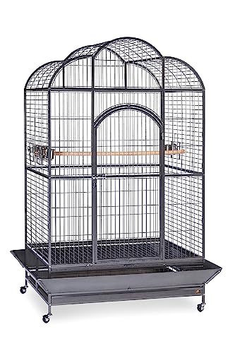 Prevue Hendryx Silverado Macaw Dometop Cage 3155S Silverado 46-Inch by 36-Inch by 78-1/4-Inch - color: black