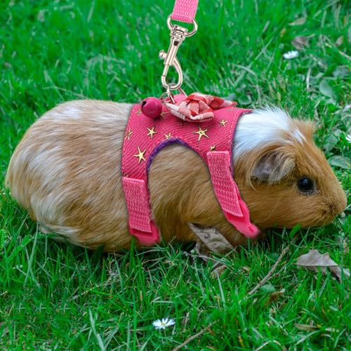 Hypeety Small Animal Harness Vest and Leash Set Soft Mesh Small Pet Harness Hamster Rabbit Chest Back Outdoor Leash Traction Rope for Rabbit Ferret Guinea Pig Kitten Clothes Accessory (S, Pink Star) - color: Pink Star, size: S