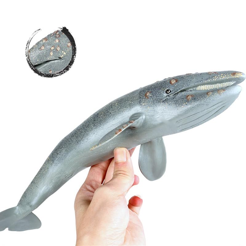 Gemini & Genius Sea Life Gray Whale, Large Grey Whale Realistic Wildlife Toy Replica Hand Painted Whale Figurine, Ocean Model Toy, Educational, Role Play, Swim, Bath and Collectors for Kids | Replica Hand Painted Whale Figurine, Ocean Model Toy, Education
