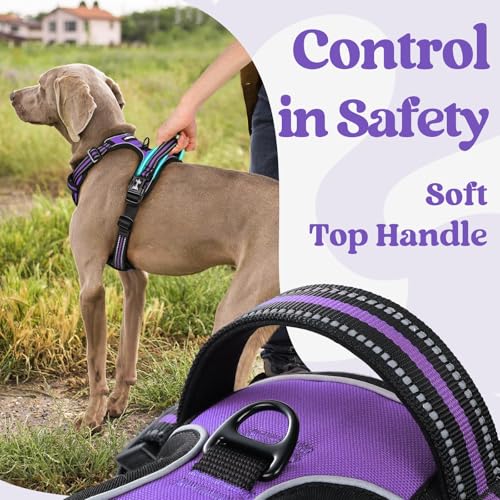 rabbitgoo Dog Harness Small Sized, Updated Easy On & Off with 3 Buckles | No Pull No Choke, Walking with 2 Clips and Handle, Adjustable Soft Reflective, Purple, Small - color: Purple, size: Small
