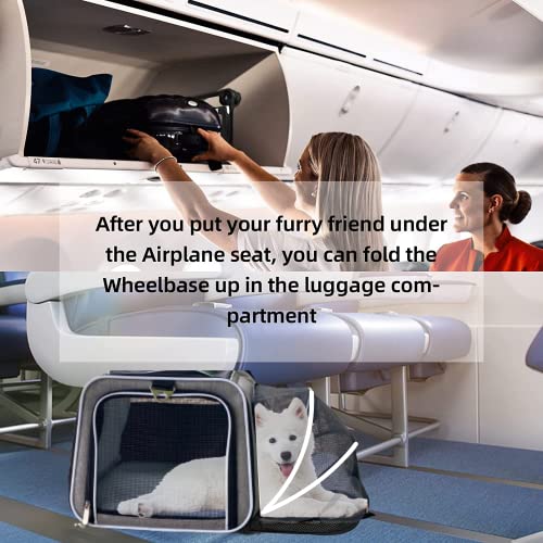 Airline Approved Expandable Premium Pet Carrier on Wheels- Two Sided Rolling Carrier- Designed for Dogs & Cats- Extra Spacious Soft Lined Carrier! (Black) (RL-PET-CARRIER-WHEELS) - color: BLACK