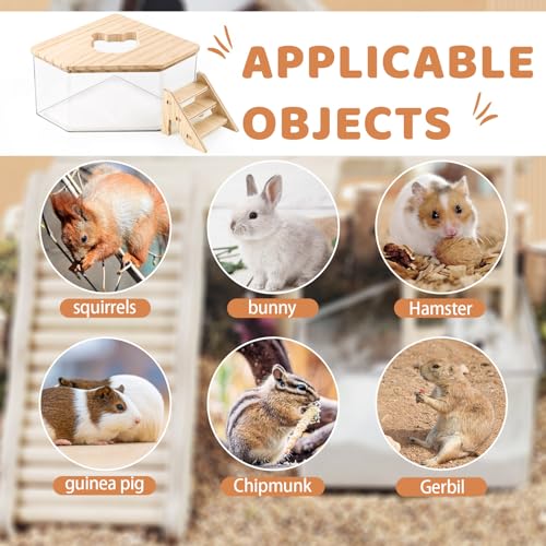 Hamster Sand Bath Box Container, Hamster Bath Sand Gerbil Sand Bath Hamster Dust Bath, Hamster Litter Box Chinchilla Dust Bath Hamster Accessories(Pentagon+Ladder) (Pentagon+Ladder) - size: M