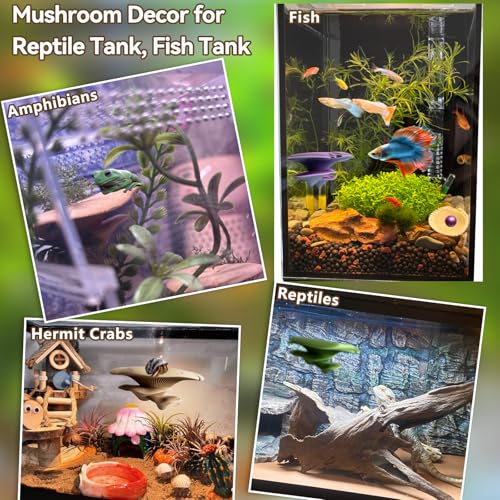 Mushroom Terrarium Decor & Climbing Hold Kit,with 12 Rock Holds, Suction Cups & Adhesive Dots for Geckos, Frogs, Small Lizards & Snakes in Dry/Semi-Moist Habitats (Lavender Silver) - color: Lavender Silver