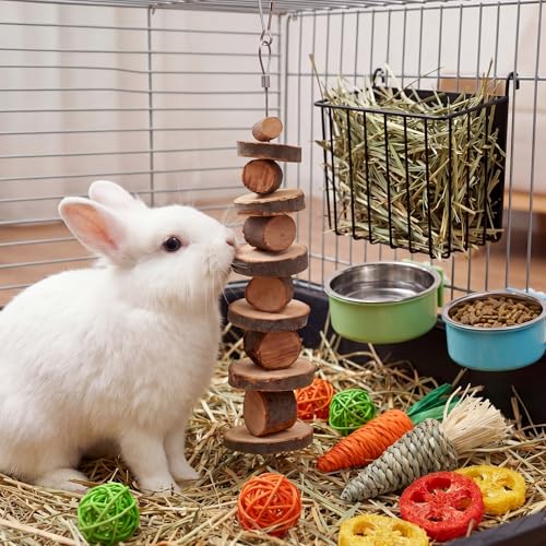 Rabbit Hay Feeder Set with 2 Bowls and Chew Toys, Heavy Duty Metal Hay Holder for Rabbits, Guinea Pigs and Chinchillas, Hanging Cage Feeding Accessories