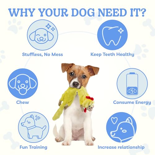 SHARLOVY Dog Squeaky Toys Pack, Bubble Plush Puppy Teething Pet Toys, Crinkle No Stuffing Animals Dog Toy, Doggies Chew for Large Small Medium Breeds - color: Bubble Plush-Chicken, size: Large