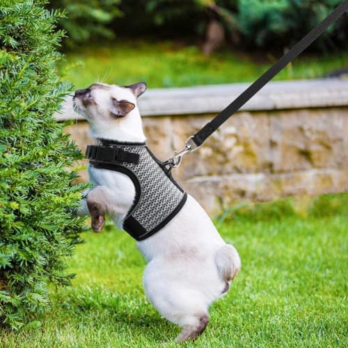 PUPTECK Soft Mesh Cat Vest Harness and Leash Set Puppy Padded Pet Harnesses Escape Proof for Cats Small Dogs Rabbits Bunny - color: Grey(Reflective), size: L(NECK 8.5"-10.5", CHEST 12.5"-15", 6-10 lbs)
