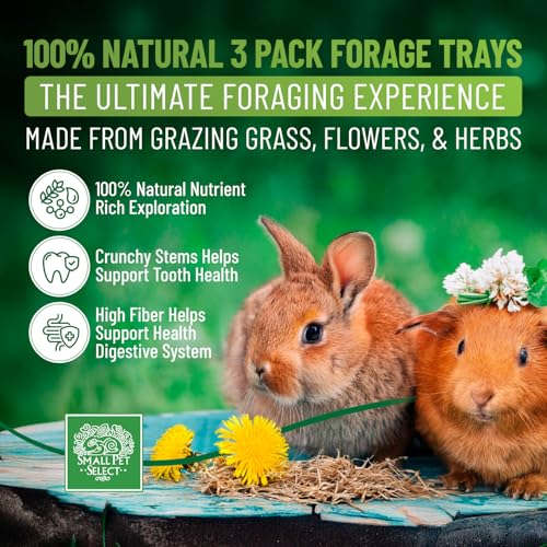 Small Pet Select Forage Tray Bundle, Rabbits & Guinea Pigs, 3-Pack | Dandelion, Flower & Herb Mix, 2.5 oz Each, Natural Foraging Enrichment for Rabbits, Guinea Pigs & Small Pets