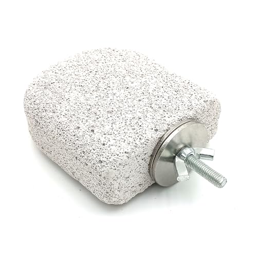 Shelltech Pumice Ledge Lava Ledge for Birds Chinchillas, Climbing Ledge Teeth Grinding Beak Grinding Block Perch Stand for Hamsters Chinchillas Parrots (2 Pack - Small Ledge) - size: 2 Pack - Small Ledge