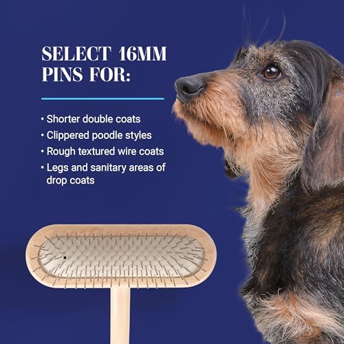 Chris Christensen Mini Grooming Brush - Comfortable High-Grade Stainless-Steel Rounded and Polished Pins - Removes Long & Loose Hair from Dogs & Cats - size: 16mm-Mini