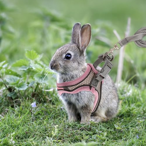 Rabbit Harness and Leash Set, Breathable Pet Vest, Bunny Harness with Reflective Strips, Soft Mesh for Small Kitten, Puppy, Rabbit and Small Animals(Pink)