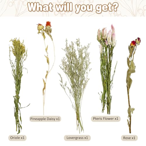 Fhiny Natural Hamster Bedding, Flower & Herb Hamster Bedding Mate Hamster Sprays Gerbil Habitat Decor Accessories for Dwarf Syrian Hamster Gerbil Mouse Mice Lemming Degus or Other Small Pets