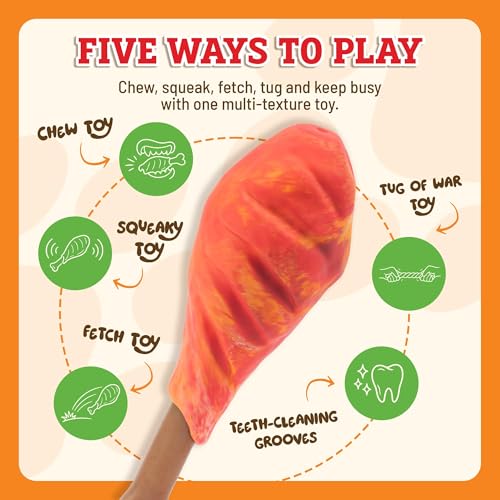 Baba Buddies 5-in-1 Turkey Leg Dog Chew Toy for Aggressive Chewers | Natural rubber & tough nylon hybrid, dental cleaning ridges, real turkey flavor. For Labrador, German Shepherd, Pit Bull