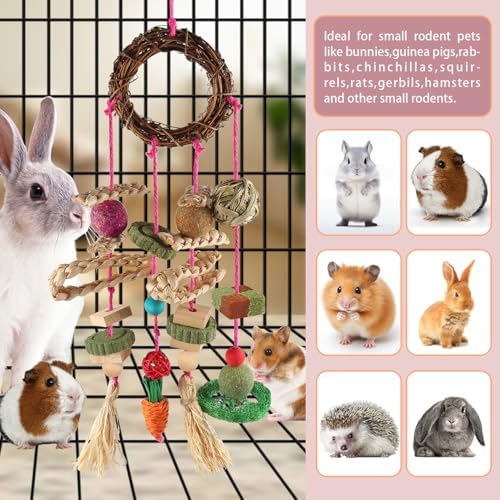 YIXUND Rabbit & Guinea Pig Toys - Hamster & Bunny Toys - Natural Timothy Hay & Apple Wood Sticks - Chinchilla Teeth Care - Handmade Dream Catcher - color: 18 Pcs