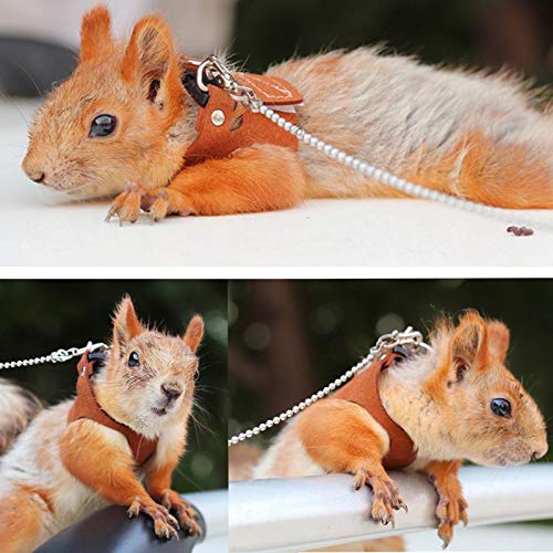 Squirrel Traction Rope with 1.8m Lead Leah, Adjustable Small Animal Walking Harness, Anti-Biting Chain Rope Vest Strap for Hamster Gerbil Rat Mouse Ferret Chinchilla and Small Animals - color: Brown