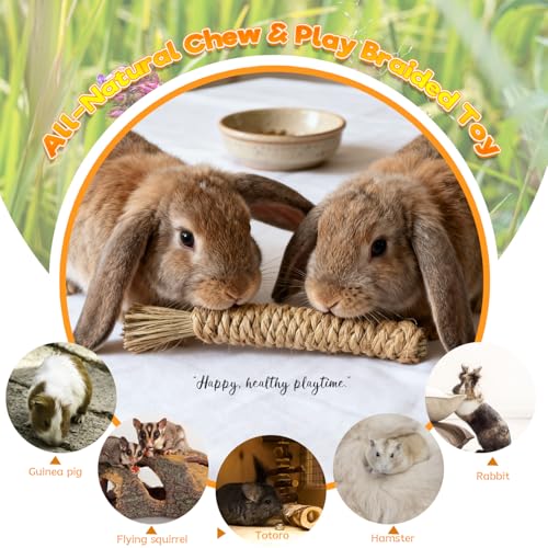 Rabbit Toys Bunny chew/Premium Guinea Pig Toys Natural Material Timothy Hay Sticks Apple Wood Sticks Handmade for Guinea Pig Hamster Rat Chinchilla - color: TOY-1-11