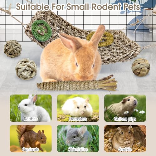 Hamiledyi Rabbit Seagrass Activity Mat Bunny Toy Hanging Rabbit Chew Toys for Teeth Enrichment Toys Seagrass Protector Mat Small Animal Toys for Chinchilla Guinea Pig Hamster Rat Rodent - style: A