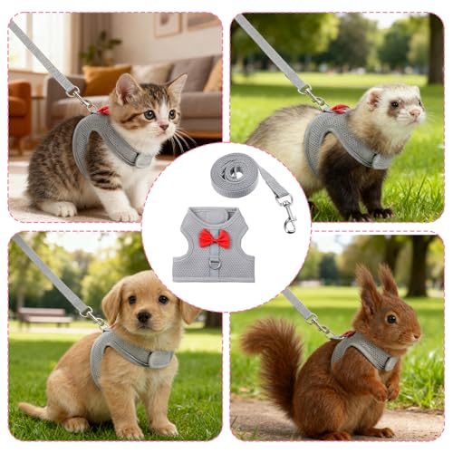 Bunny Harness and Leash Set, Cute Bow Rabbit Vest Soft Breathable Mesh Rabbit Leash and Harness Set Escape Proof Walking Gear for Rabbits, Ferrets, Kittens, Guinea Pigs, Grey M