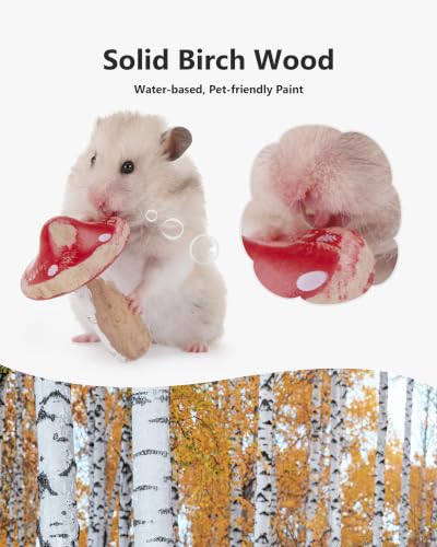 Niteangel Hamster Chew & Decor Toys: Pack of 2 Mushroom-Shape & Beech Wood | Chew-Friendly Design to Control Tooth Overgrowth for Syrian Dwarf Hamster Gerbils Mice Lemming Degu or Other Small-Sized Pets - size: Mushroom-Shape
