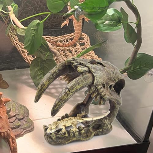 PINVNBY Reptile Resin Dinosaur Skull Decor,Crested Gecko Tank Accessories Hide Artificial Sabertooth Tiger Skull Skeleton Climbing Hideout Cave Landscape Decorations