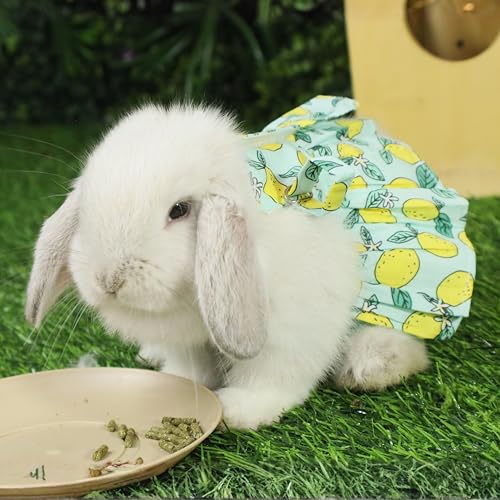 SMOLKITH Rabbit Clothes - Bunny Adjustable Summer Lemon Print Dress with Leash, Small Animal Apparel for Walking - Fits Meerkats, Chinchillas, Guinea Pigs, Marmots and More - color: Summer Lemon Print Dress