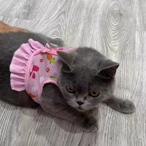 Rabbit Harness and Leash Set, Bunny Vest Guinea Pig Clothes Ferret, Pink M | Soft Mesh Vest Set Escape-Proof Cute Carrot Pattern for Rats Hamster Chinchilla Small Animals Cat Kitten Puppy - color: Pink, size: M (neck:7.4"-8.6" chest:9.4"-11.8")